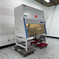 Thermo Series Class 1300 A2 4' Biological Safety Cabinet image 0